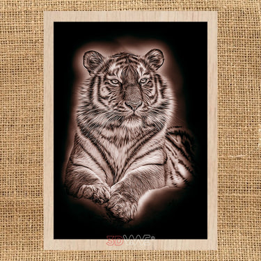 TIGER pyroprinter & laser-ready files 3DWave.us